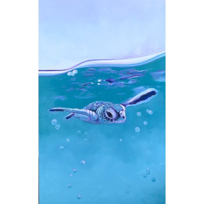 Baby Turtle - 810